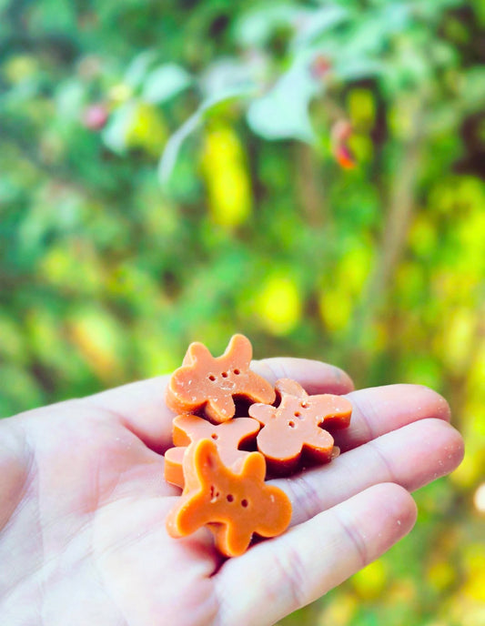 Gingerbread wax melts